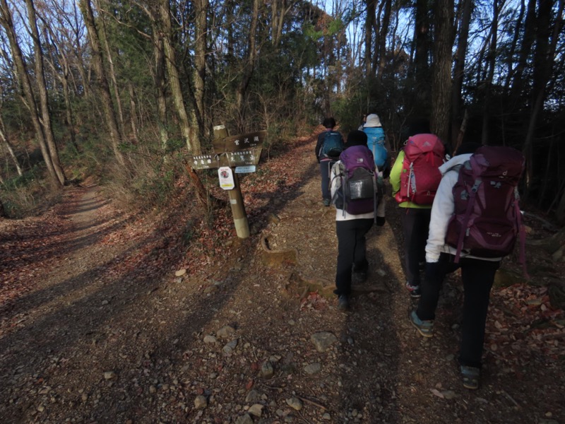 日和田山、物見山